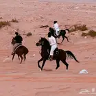 تعليم ركوب الخيل للمبتدئين