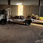 دينا ايسوزو 2003