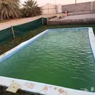مسبح فيبر جلاس