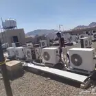 Bisha al Nakhel saudi arab