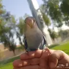 روز اليف مع الصغير والكبير