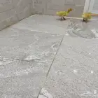 بط صغير