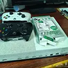الخبر حى العقربيه