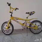 السكن قوت المسلح بقوت نجرن