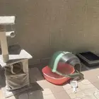 اغراض قطط بحالة جيدة جدا