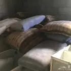 المدينة المنورة