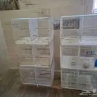 اقفاص مقسومين