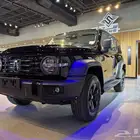 عرض خاص تانك 300 موديل 2025