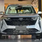 جيلي ستار راي جميع الفئات 2024