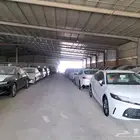 كراون2026 رمادي