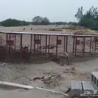شبك او قفص دجاج وحمام
