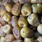 تمر سكري (جديد هذي السنة)