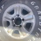 جنوط جكسار