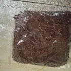 هيل وقرنفل