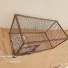 شبك طيور او دجاج للبيع