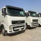 روس فولفو الزاهد