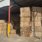 سكراب كرتون للبيع   170  للطن   شحن لجميع الدول