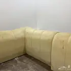 جلسة ظهرية