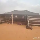 بيوت شعر للبيع