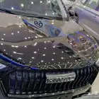 هافال جوليان بيسك 2025-عازل حرارى مجانى