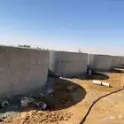 مشروع أسماك للأيجار