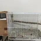 زوج صن كنيور