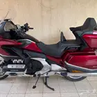 قولد وينق 2021