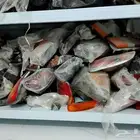 للبيع قطع غيار سيارات تويوتا جديد