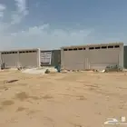 ارض مسورة للايجار يوجد كهرباء وماء وصرف صحي بالسفانية