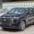 جيلي اوكافانجو 2.0 ستاندر 2024 كاش وأقساط