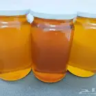 عسل أصلي من زهور الشوكيات وشجر الكينا