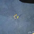فرصه مجموعه اثااث للبيع غرف نوم كامله كنب نظيف.. وصندقه