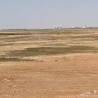 ارض زراعية للبيع بالقصيم بمركز البطين