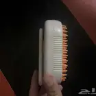 قط شيرازي