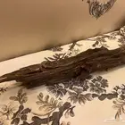 قطعة بخور هندي