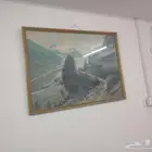 مجلس رجال 4 في 6 م