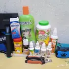 كلب اليف للبيع