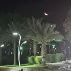 مطلوب سكن عزاب