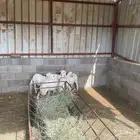 بهم 4 اشهور للبيع