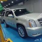 كدلك سكاليد منشا قليل لوحات البحرين
