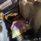 شيري 2019 خالي من الحوادث