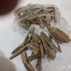 عود سومطري طبيعي