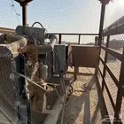 مكينة كهربائية