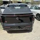 ام جي WHALE لاكجري 2024