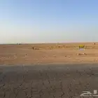 أرض في الصالحية (بصك)