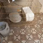 قفص كبير للقطط دجاج أرانب كلاب