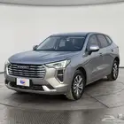 هافال جوليان بيسك 2023