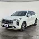 هافال جوليان بيسك 2023