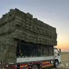 اعلاف برسيم لبيع