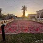 كراسي ضيافة زل عربات قهوه معتمد في الدوائر الحكوميه
